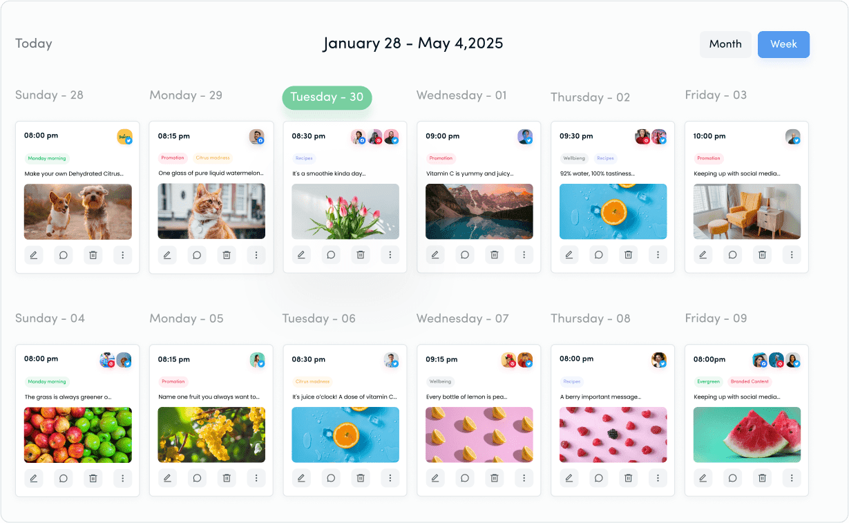 Social Media Planning