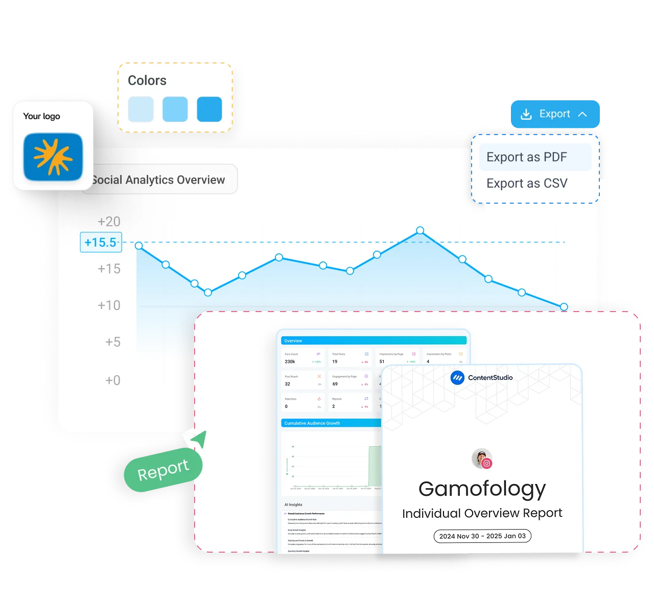 Presentation-ready social media reports