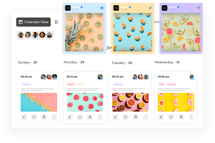 multiple calendar views - social media content calendar